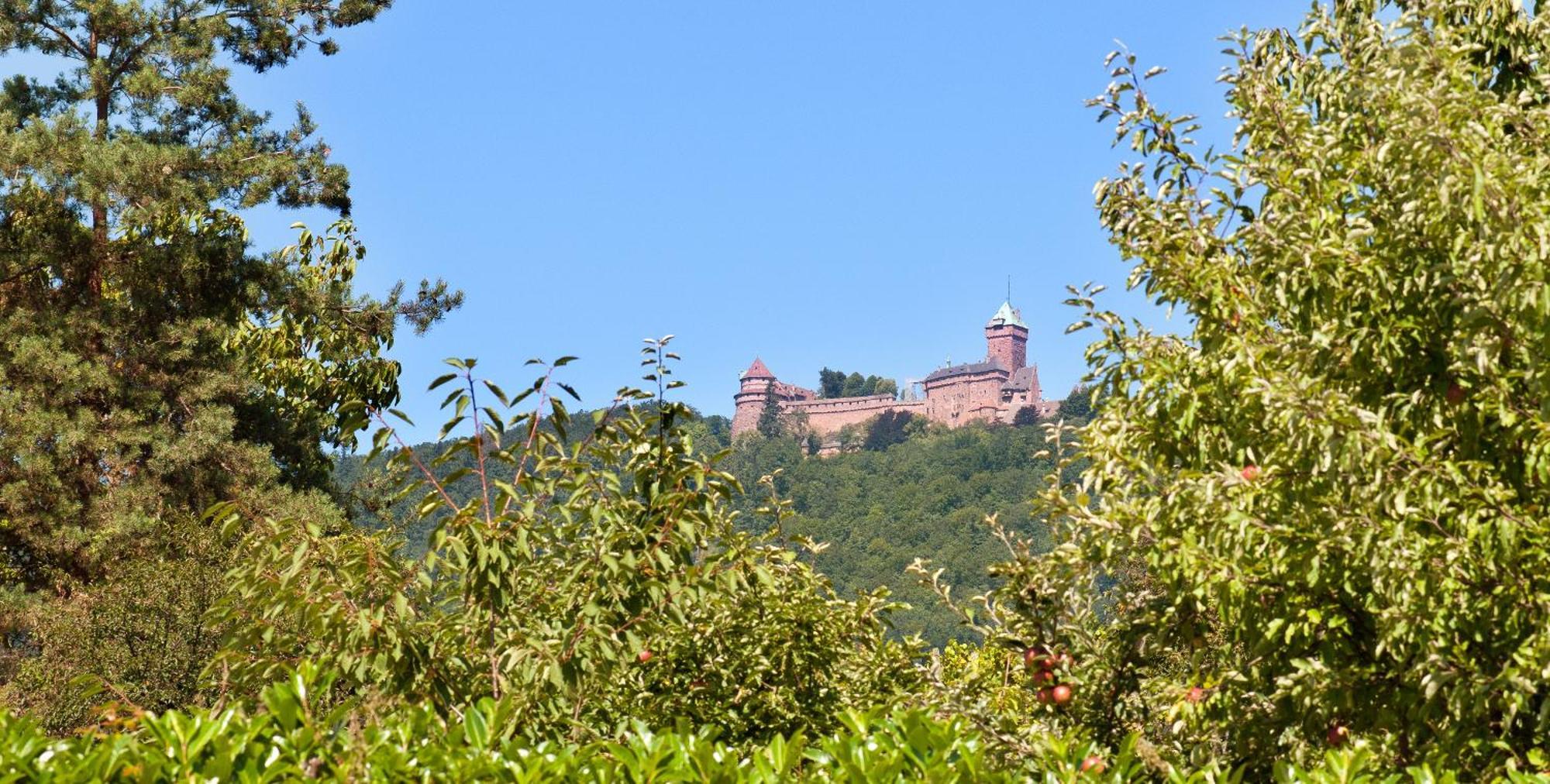 Logis Hotel Le Parc & Spa Saint-Hippolyte  Luaran gambar